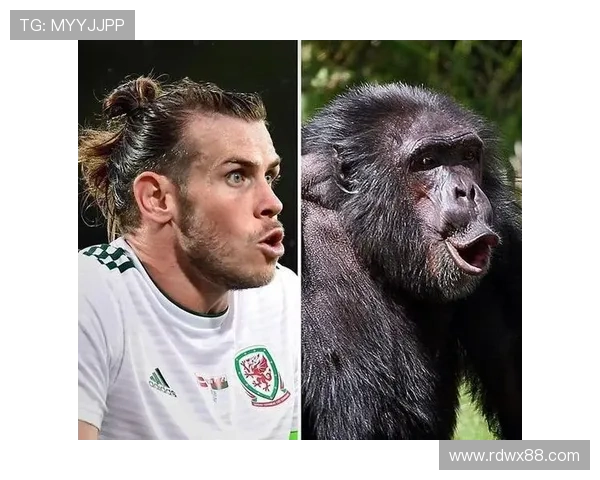 足球巨星与猩猩神似 网友调侃外貌似曾相识的明星球员 足球巨星与猩猩神似 网友调侃外貌似曾相识的明星球员