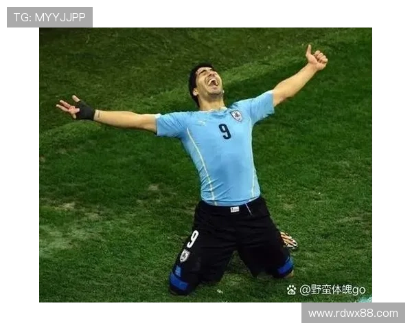 鄂姓外国足球球星的传奇经历与成就解析